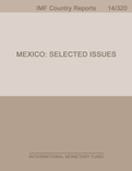 Mexico: Selected Issues Paper