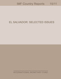 El Salvador: Selected Issues Paper
