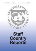 Republic of Serbia: Selected Issues Paper
