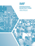 International Monetary Fund Annual Report 2011 : Financial Statements