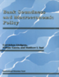 Bank Soundness and Macroeconomic Policy