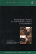 Promoting Growth in Sub-Saharan Africa : Learning What Works