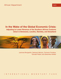 In the Wake of the Global Economic Crisis
