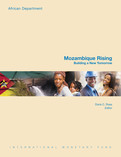 Mozambique Rising