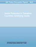 Social Protection in Transition Countries : Emerging Issues