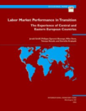 Labor Market Performance in Transition : The Experience of Central and Eastern European Countries