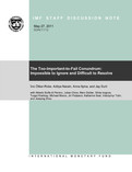 The Too-Important-to-Fail Conundrum: Impossible to Ignore and Difficult to Resolve