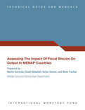 Assessing The Impact Of Fiscal Shocks On Output In MENAP Countries
