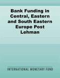 Bank Funding in Central, Eastern and South Eastern Europe Post Lehman: a "New Normal"?