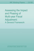 Assessing the Impact and Phasing of Multi-year Fiscal Adjustment : A General Framework