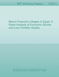 Macro-Financial Linkages in Egypt: A Panel Analysis of Economic Shocks and Loan Portfolio Quality