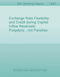 Exchange Rate Flexibility and Credit during Capital Inflow Reversals: Purgatory…not Paradise