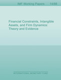 Financial Constraints, Intangible Assets, and Firm Dynamics: Theory and Evidence