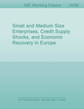 Small and Medium Size Enterprises, Credit Supply Shocks, and Economic Recovery in Europe