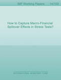 How to Capture Macro-Financial Spillover Effects in Stress Tests?