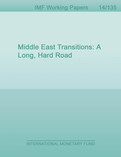 Middle East Transitions: A Long, Hard Road