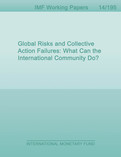 Global Risks and Collective Action Failures: What Can the International Community Do?