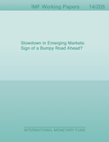 Slowdown in Emerging Markets: Sign of a Bumpy Road Ahead?