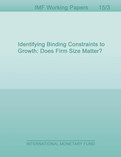 Identifying Binding Constraints to Growth: Does Firm Size Matter?