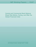Central and Commercial Bank Balance Sheet Risk Before, During, and After the Global Financial Crisis