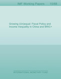 Growing (Un)equal: Fiscal Policy and Income Inequality in China and BRIC+