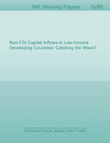 Non-FDI Capital Inflows in Low-Income Developing Countries: Catching the Wave?