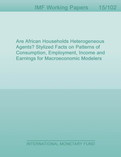 Are African Households Heterogeneous Agents? : Stylized Facts on Patterns of Consumption, Employment, Income and Earnings for Macroeconomic Modelers