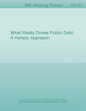 What Really Drives Public Debt : A Holistic Approach