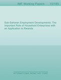 Sub-Saharan Employment Developments : The Important Role of Household Enterprises with an Application to Rwanda