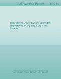 Big Players Out of Synch : Spillovers Implications of US and Euro Area Shocks