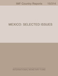 Mexico : Selected Issues