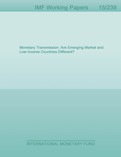 Monetary Transmission : Are Emerging Market and Low Income Countries Different?