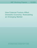 How External Factors Affect Domestic Economy : Nowcasting an Emerging Market