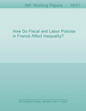How Do Fiscal and Labor Policies in France Affect Inequality?