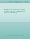 A Closer Look at Sectoral Financial Linkages in Brazil I : Corporations' Financial Statements