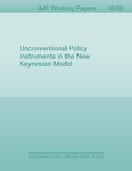 Unconventional Policy Instruments in the New Keynesian Model