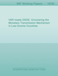 VAR meets DSGE : Uncovering the Monetary Transmission Mechanism in Low-Income Countries