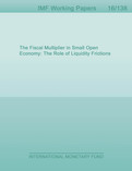The Fiscal Multiplier in Small Open Economy : The Role of Liquidity Frictions