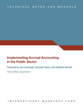 Implementing Accrual Accounting in the Public Sector