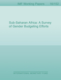 Sub-Saharan Africa : A Survey of Gender Budgeting Efforts