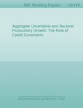 Aggregate Uncertainty and Sectoral Productivity Growth : The Role of Credit Constraints