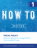 How to Adjust to a Large Fall in Commodity Prices