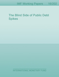 The Blind Side of Public Debt Spikes