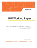 International Remittances, Migration, and Primary Commodities in FSGM