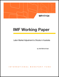 Labor Market Adjustments to Shocks in Australia