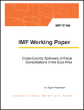 Cross-Country Spillovers of Fiscal Consolidations in the Euro Area