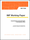 Growth Breaks and Growth Spells in Sub-Saharan Africa