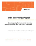 Global Liquidity Transmission to Emerging Market Economies, and Their Policy Responses