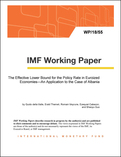 The Effective Lower Bound for the Policy Rate in Euroized Economies—An Application to the Case of Albania