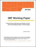 Financial Crises, Macroeconomic Shocks, and the Government Balance Sheet: A Panel Analysis